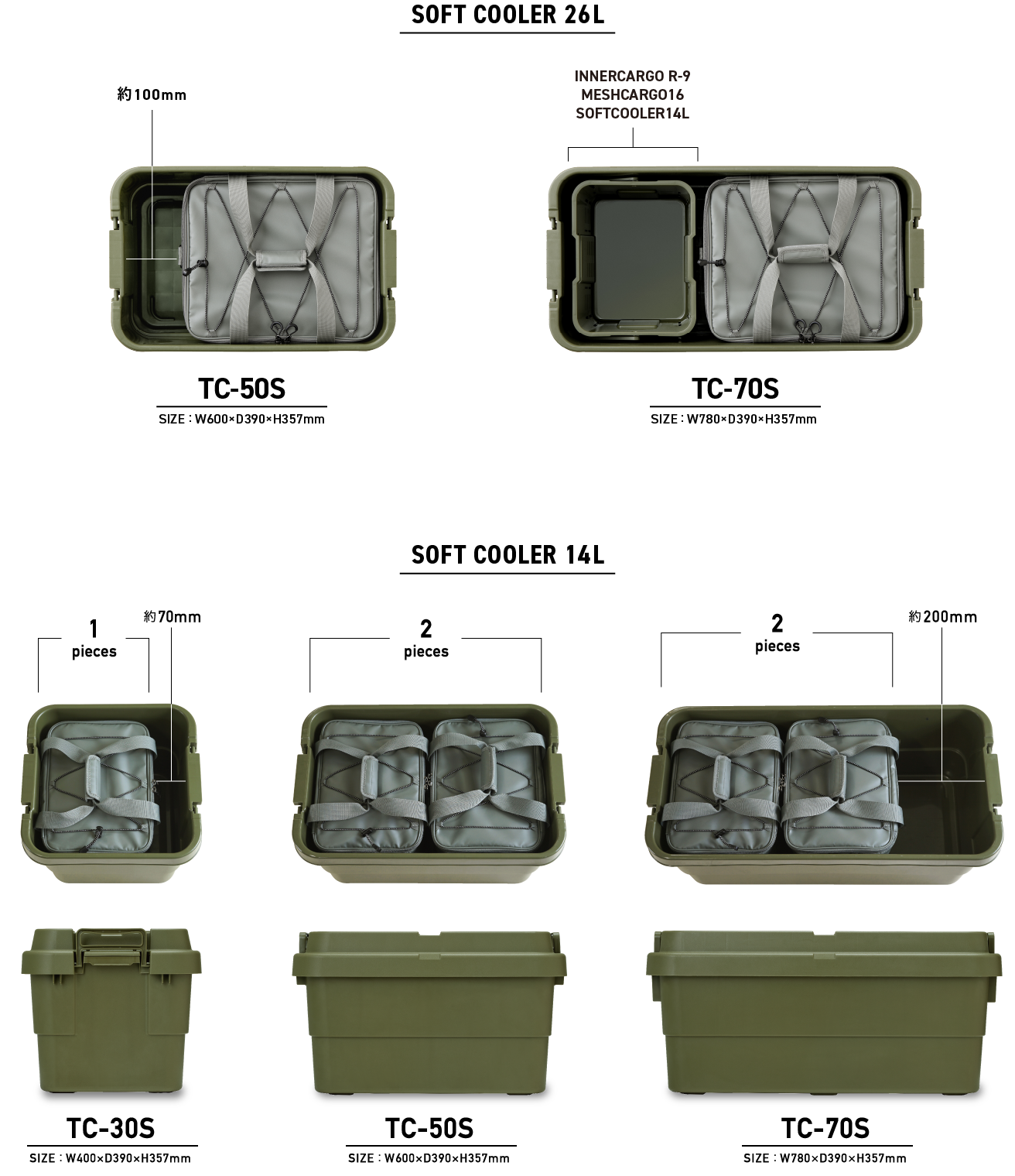 MODULE